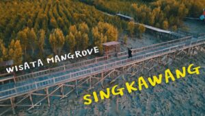 Hutan Mangrove Setapuk Singkawang