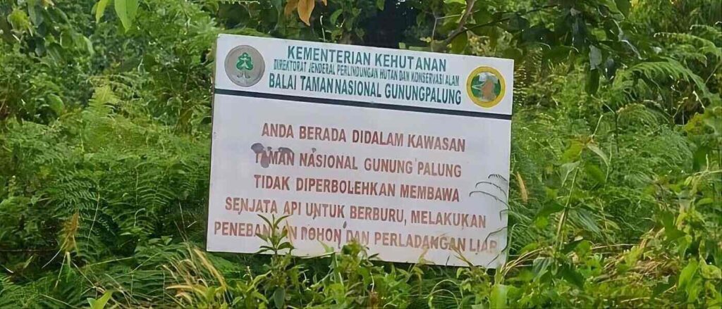 Keindahan Taman Nasional Gunung Palung di Kalimantan Barat